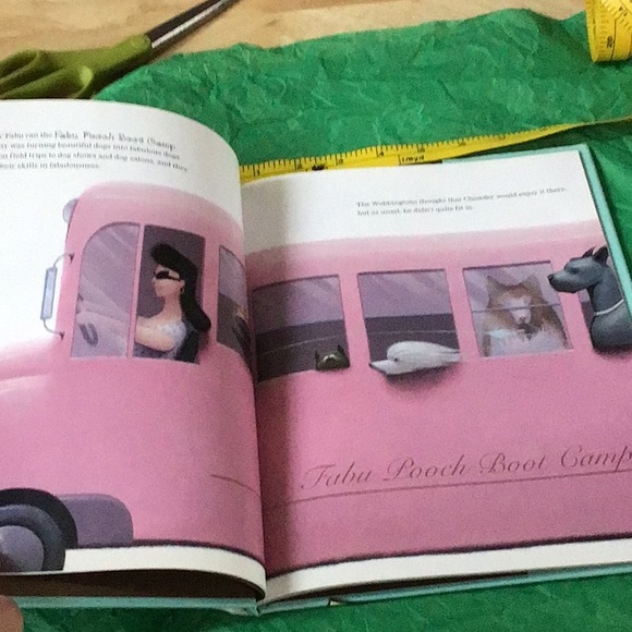 COPY - ☘️2 for $10 Sale☘️The Fabulous Bouncing Chowder hardcover book autograph… - Picture 9 of 10